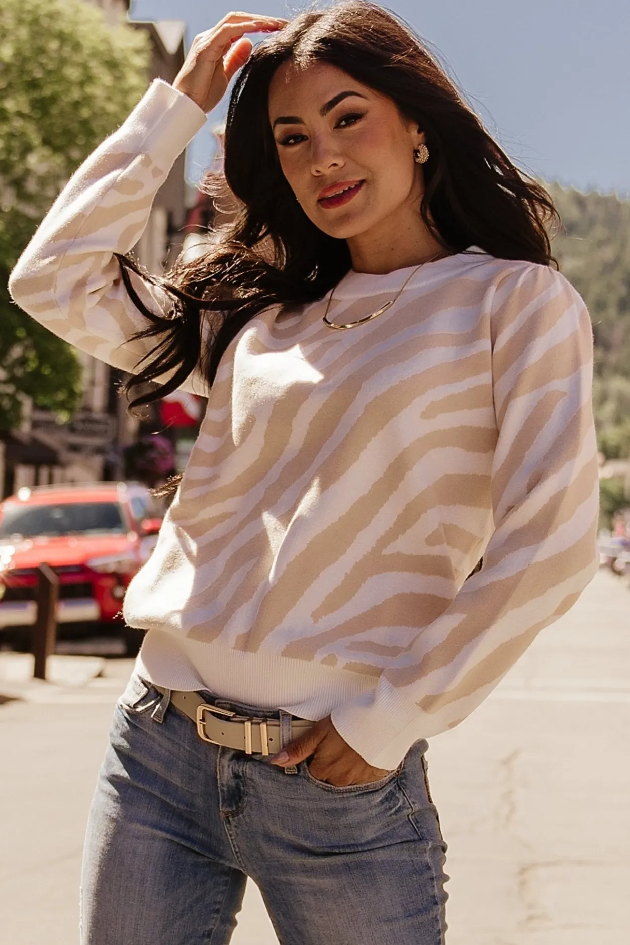 Online Baltic Born Carter Sweater | Oatmeal Print OatmealPrint