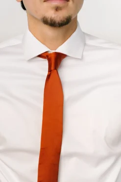 New Baltic Born Classic Satin Tie | Spice