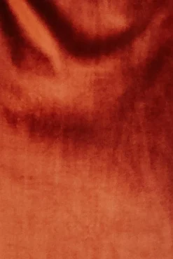 Best Baltic Born Fabric Swatch - Meghan Velvet | Rust