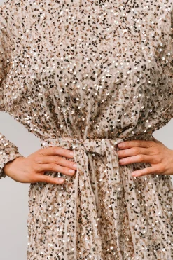 Clearance Baltic Born Jelena Sequin Short Dress | Champagne
