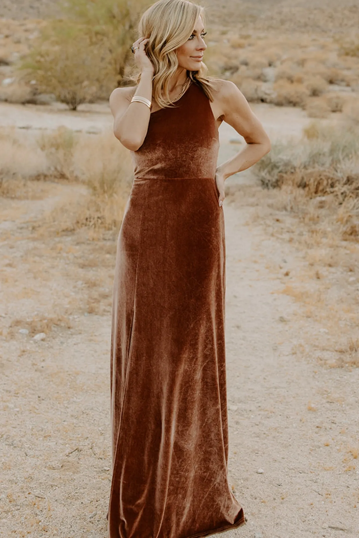 Outlet Baltic Born Tatiana Velvet One Shoulder Maxi Dress | Bronze